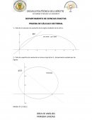 DEPARTAMENTO DE CIENCIAS EXACTAS PRUEBA DE CÁLCULO VECTORIAL