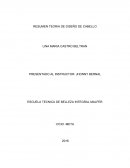 TEORIA DE DISEÑO DE CABELLO