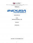 Caso de Indura Perú S.A