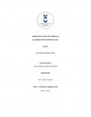 ESTUDIO DE MERCARDO Descripción del Producto