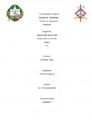 Las proteínas poseen una estructura química