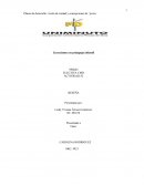 Reseña - Planes de desarrollo: visión de ciudad y concepciones de “joven”