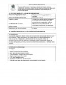 CARACTERIZACIÓN DE LA ACTIVIDAD DE APRENDIZAJE