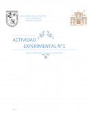 ACTIVIDAD EXPERIMENTAL N°1 ¿Vemos u Observamos? ¿Suponemos o Analizamos?