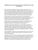 IMPORTANCIA DE LAS PLANTAS EN LA COMUNIDAD, EL PAIS Y EL MUNDO
