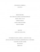 Inteligencia Comercial Fase Final Colaborativa