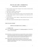 PRACTICA DE CAMPO – INFORME FINAL Ingeniería Industrial – Gerencia de Marketing