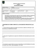 UN EJEMPLO DE PRUEBA CIENCIAS CAPAS DE LA TIERRA