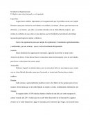 Objetivo de la organizacion