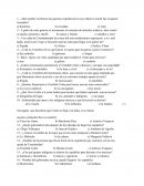 Examen 4 historia sin resp