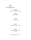 NUEVA LA GRAN PRACTICA PROFESIONAL