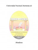 Un Sistema de Educación a distancia (CRAED)
