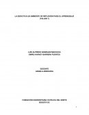 ENSAYO DE LA DIDÁCTICA UN AMBIENTE DE REFLEXIÓN PARA EL APRENDIZAJE