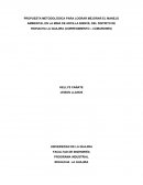 PROPUESTA METODOLÓGICA PARA LOGRAR MEJORAR EL MANEJO AMBIENTAL EN LA MINA DE ARCILLA BIENVE, DEL DISTRITO DE RIOHACHA LA GUAJIRA (CORREGIMIENTO – CÁMARONES)