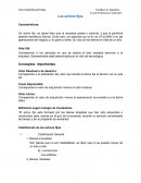 Los activos fijos - Depreciaciones