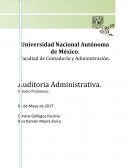 Auditoria Administrativa. Estudio Preliminar