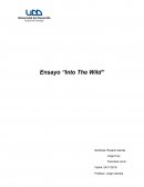 Ensayo “Into The Wild