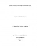 FUENTES DEL DERECHO ROMANO EN SUS DIFERENTES ETAPAS