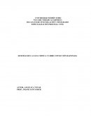 LOS NUEVOS SISTEMAS DE LA SANA CRITICA Y LIBRE CONVICCIÓN RAZONADA