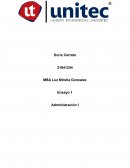 Ensayo Hoja de seguridad