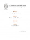 La importancia de la Auditoria y Seguridad de Sistemas