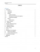 DISENO ESTRUCTURAL DE PASARELA PEATONAL EN LA AV. JUAN PABLO II – EL ALTO