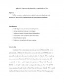 Aplicacion del proceso de planeacion y organizacion en una empresa
