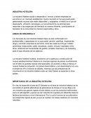 COMO ES LA INDUSTRIA HOTELERA