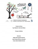 Temas de Física. Óptica