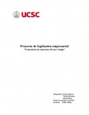 Proyecto de legislación empresarial “Cementerio de mascotas Eterno Amigo”