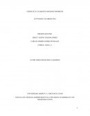 Fundamentos de Economia - Ejercicio 3 - Microeconomia - UNAD