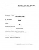 MODELOS DE MERCADO reseña