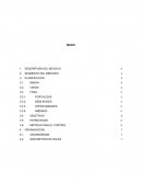 Caso plan de trabajo