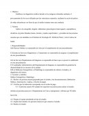 Sonografia