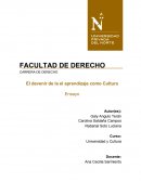 La universidad es parte de la cultura del aprendizaje