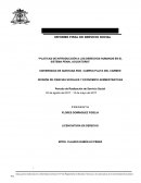 Platicas de introducción a los derechos humanos en el sistema penal acusatorio