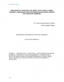 PROBLEMÁTICA; DEFICIENCIA DEL MARCO LEGAL PARA EL DEBIDO PROCESO Y SANCION DEL DELITO DE PROSTITUCION INFANTIL DENTRO DEL ESTADO DE GUERRERO