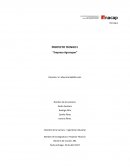 Mapa procesos “Empresa Agrosuper”