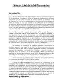 Síntesis total de la Tienamicina