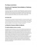 El enfoque económico: Derechos de Propiedad, Externalidades y Problemas Ambientales