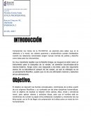 Ensayo De algo te servira