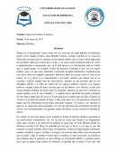 Resumen corto y opinion personal de SICKO