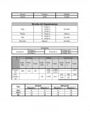 Guía para el análisis