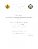 Título de la práctica: Emisión luminosa o flujo luminoso de una fuente de luz artificial