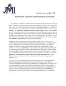 Angelina Jolie y Brad Pitt tramitan adopción de niño sirio