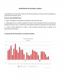 Identificación de mercados y análisis