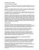 Estrategia del grupo mango