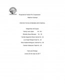 PROYECTO DE ECONOMIA ¨Melchor Ocampo¨