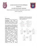 Bioquímica - curva tipo de azucares reductores