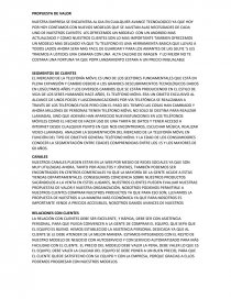 Modelo canvas (celulares). Página 1